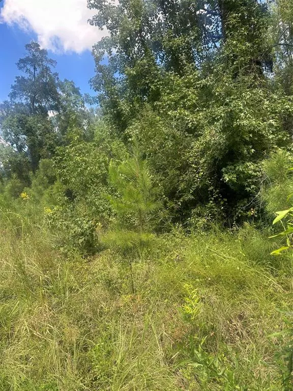 Jonesboro, LA 71251,Lot 11 Dale