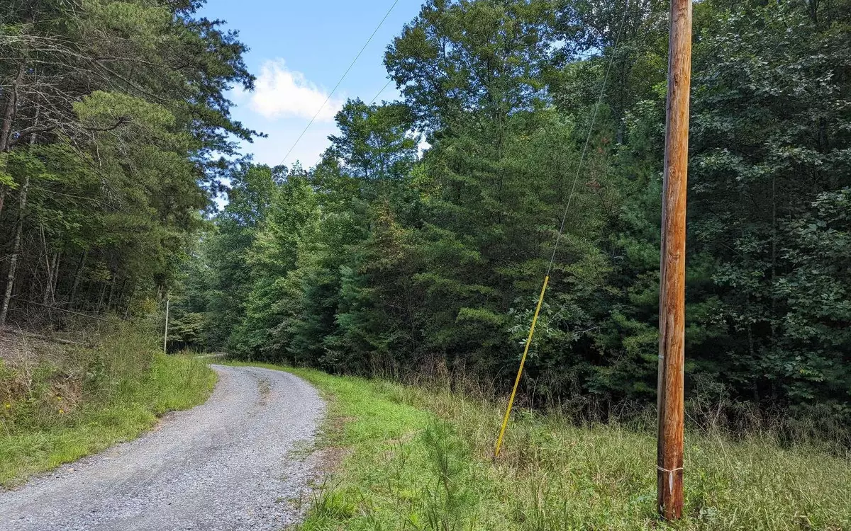 Mineral Bluff, GA 30559,0 Twin Springs Road