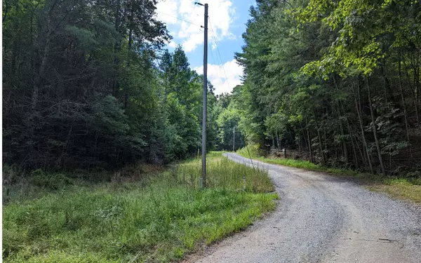 Mineral Bluff, GA 30559,0 Twin Springs Road