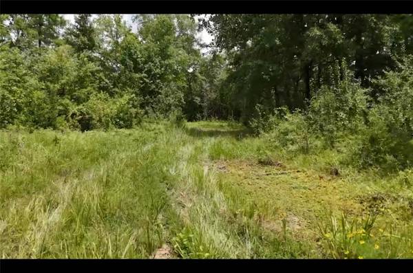 Lot 4 County Road 2215, Detroit, TX 75436