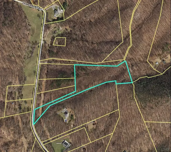 0 Charlemont RD #9.12acre, Goode, VA 24556