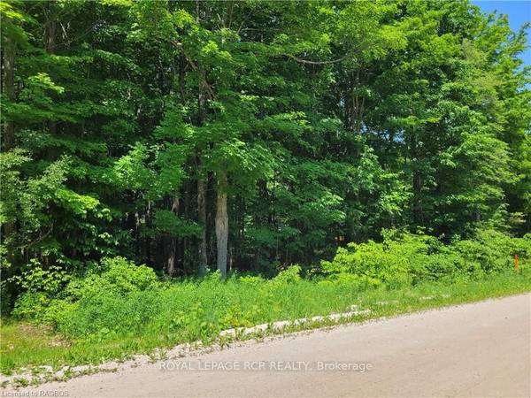 Grey Highlands, ON N0C 1E0,LOT 3 PT Park Lot 3 Beau LN