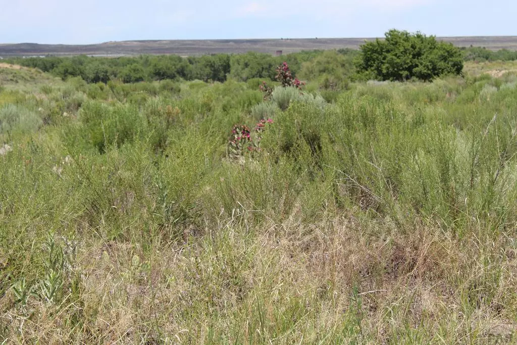 Pueblo, CO 81006,35345 Hidden Mesa Dr