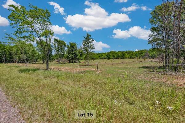 Collinsville, TX 76233,TBD-Lot 15 Ethel Cemetery Road