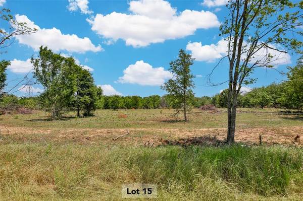 Collinsville, TX 76233,TBD-Lot 15 Ethel Cemetery Road