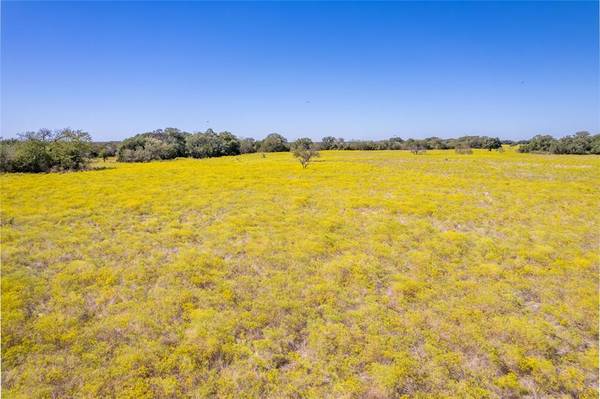 Gatesville, TX 76528,TBD Prairie View Road