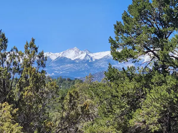 TBD L Path, Cotopaxi, CO 81223