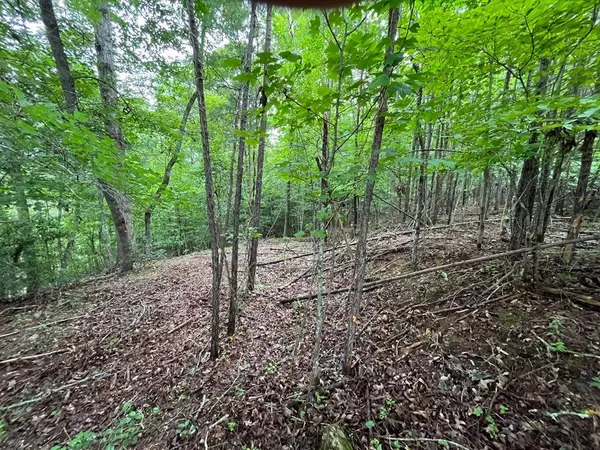 Murphy, NC 28906,Lot 30 Sugar Maple Road