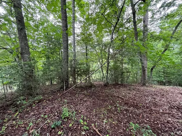 Murphy, NC 28906,Lot 30 Sugar Maple Road