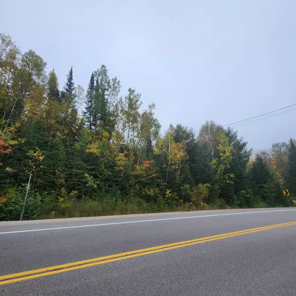 Haliburton, ON K0L 1X0,0 Loop RD