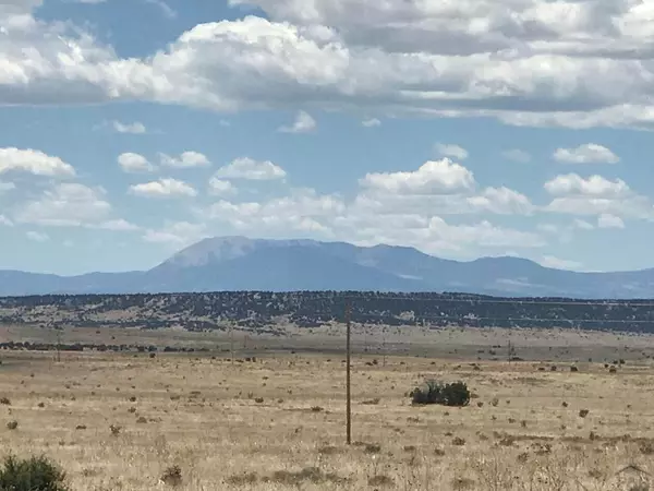 Lot 234 Turkey Ridge Ranch, Walsenburg, CO 81089