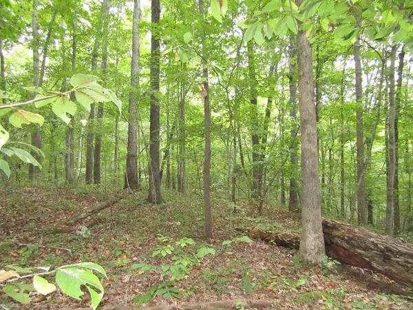 Lot 15 Cheyenne Drive, Jamestown, TN 38556