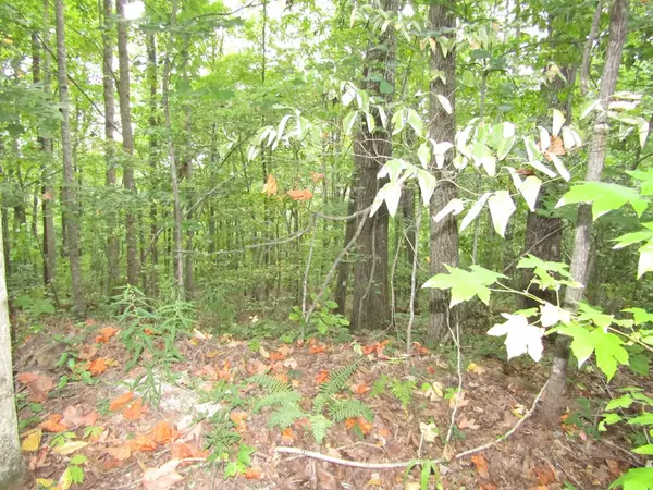 Jamestown, TN 38556,Lot 15 Cheyenne Drive