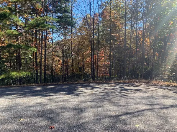 Blairsville, GA 30152,Lot 22 Snowbird Lane