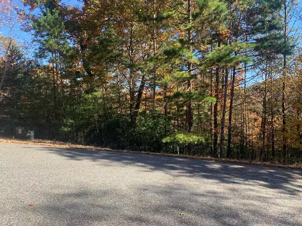 Blairsville, GA 30152,Lot 22 Snowbird Lane