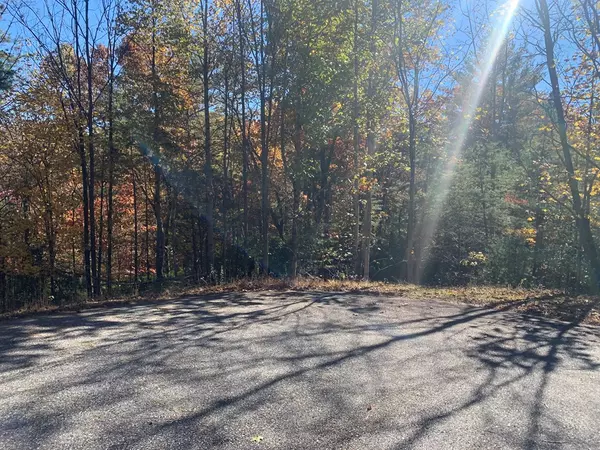 Blairsville, GA 30152,Lot 22 Snowbird Lane