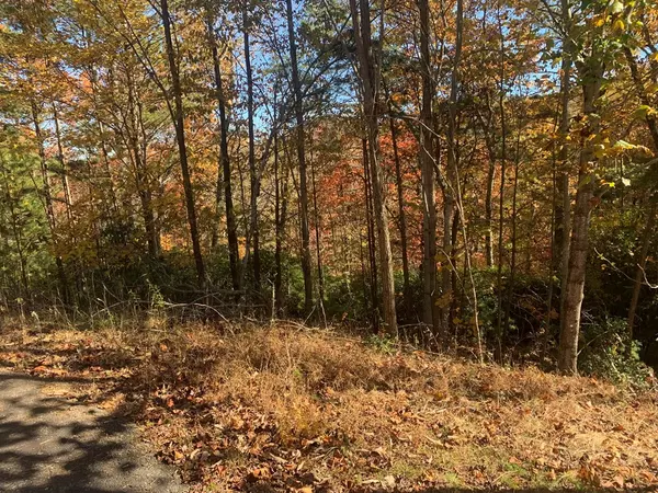 Blairsville, GA 30152,Lot 22 Snowbird Lane