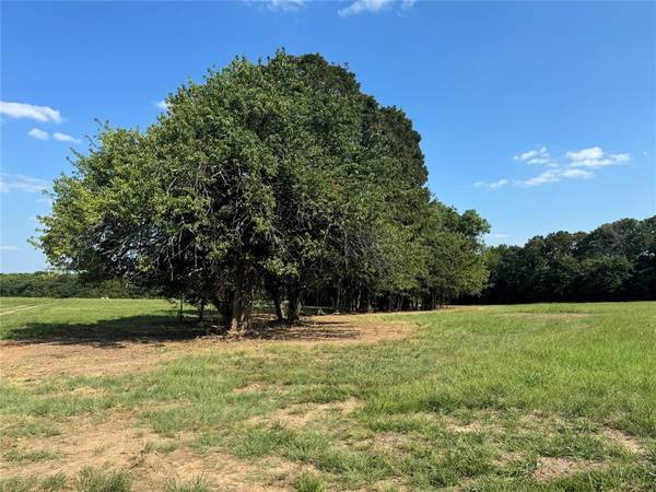 Pottsboro, TX 75076,Lot 51 Spout Springs Road