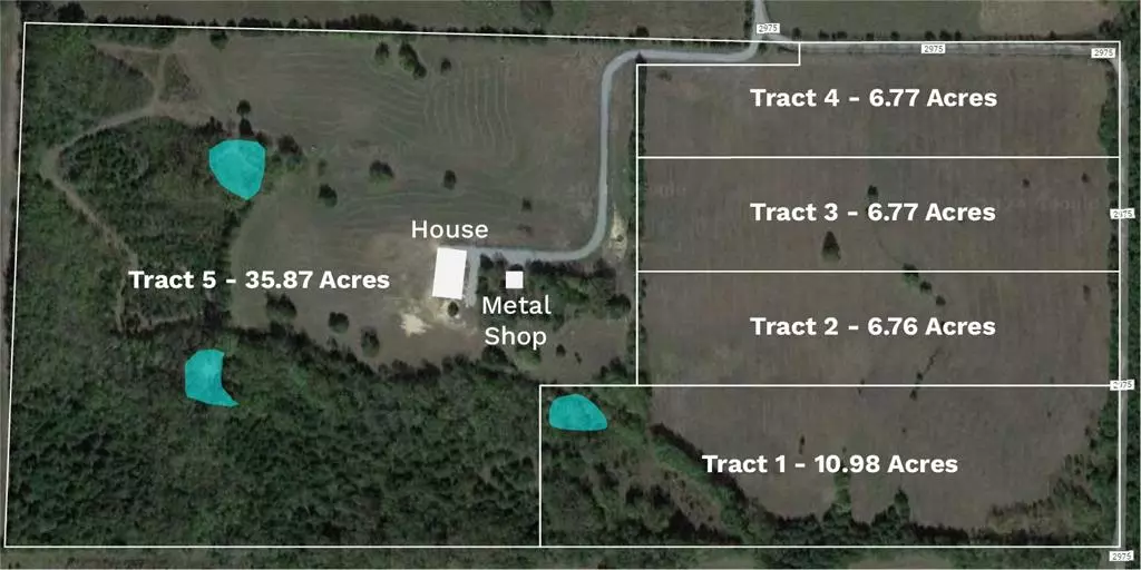 Dodd City, TX 75438,Tract 1 County Road 2975