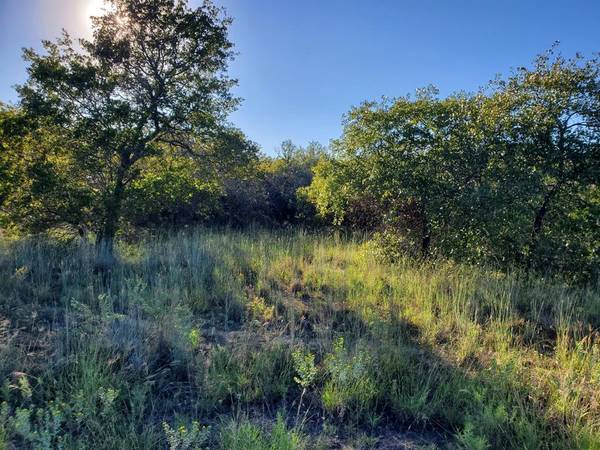 Bowie, TX 76230,Lot 475 Creekside Drive