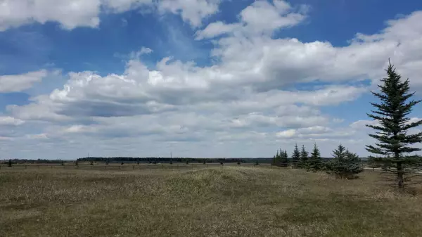 Rural Mountain View County, AB T0M 1X0,Lot 2 Country Haven Acres