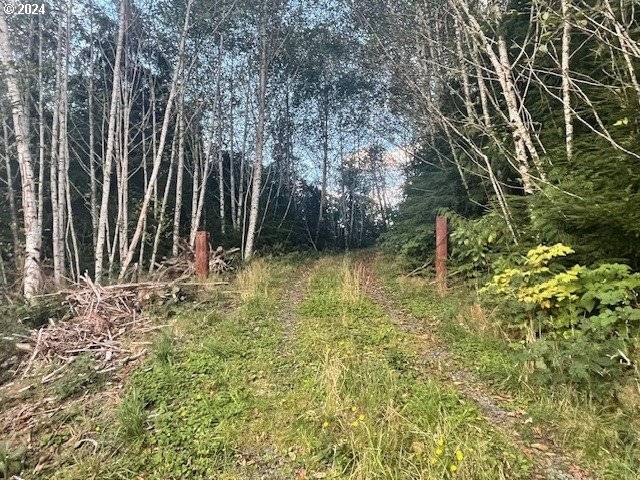 LOt  300 Raghorn RD, Seaside, OR 97138