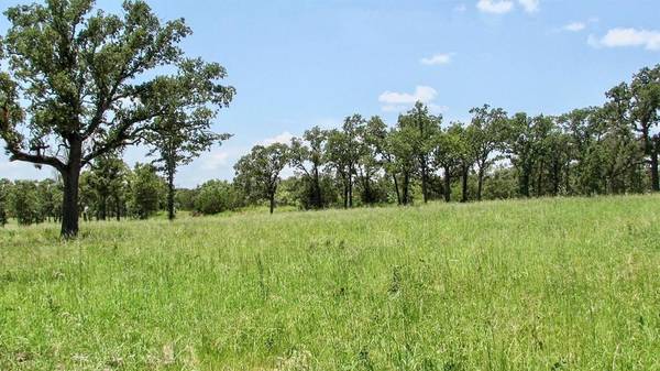 Mineral Wells, TX 76067,1001 Drover's Trail