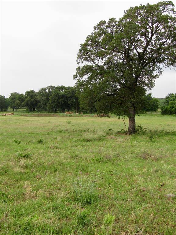 Mineral Wells, TX 76068,0000 Camp Trail