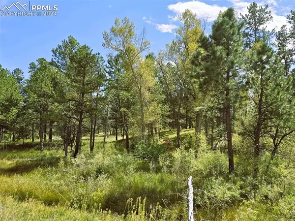 Colorado Springs, CO 80908,00 Meridian RD