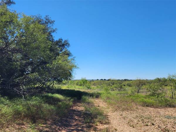 Brady, TX 76825,TBD Hwy 87