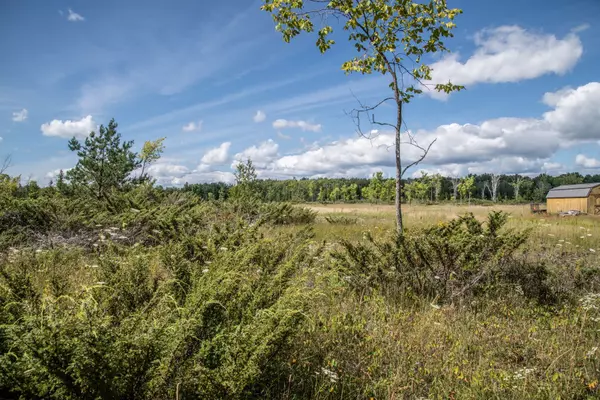 LOT 250 McGuire Beach RD, Kawartha Lakes, ON K0M 2B0