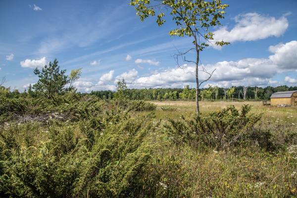 LOT 250 McGuire Beach RD, Kawartha Lakes, ON K0M 2B0