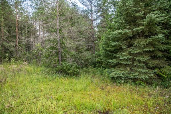 Kawartha Lakes, ON K0M 2B0,LOT 250 McGuire Beach RD