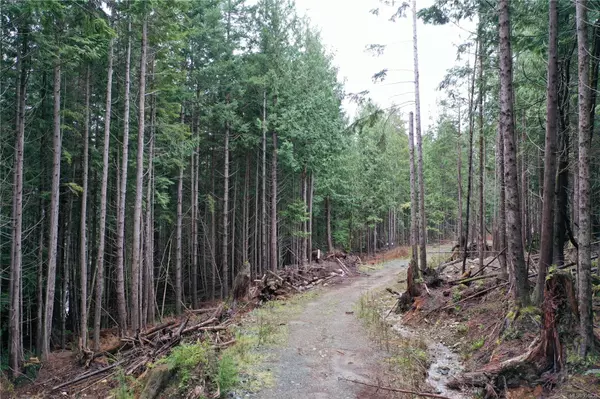 Campbell River, BC V9W 5C1,LOT 5 Discovery Passage (Off) Rd