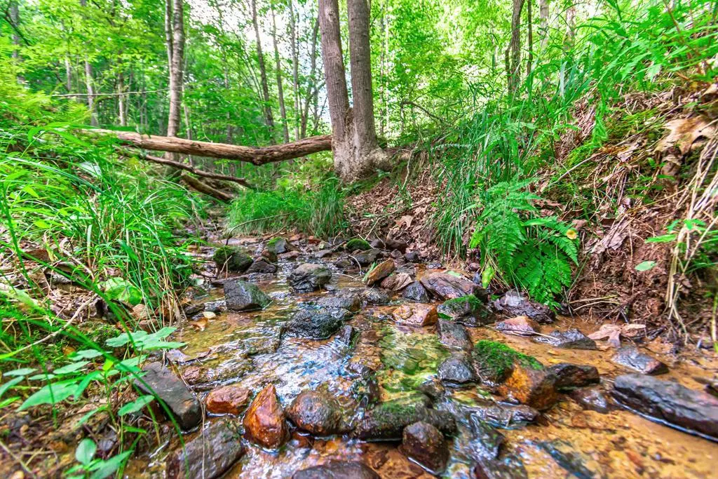 Morganton, GA 30560,Lot 22 Meadow Brook Trail