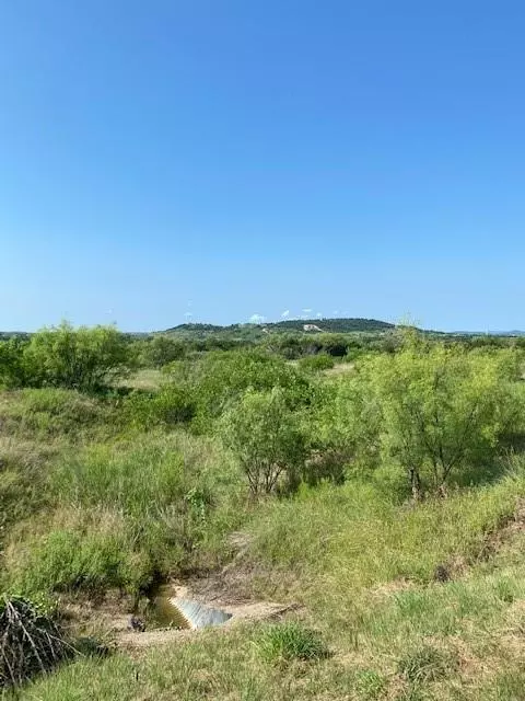 Possum Kingdom Lake, TX 76449,Lot 203 Evening Primrose Drive