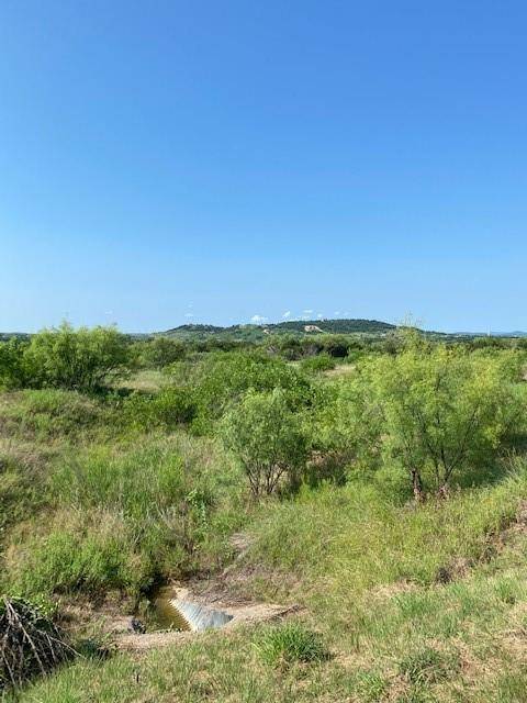 Possum Kingdom Lake, TX 76449,Lot 203 Evening Primrose Drive