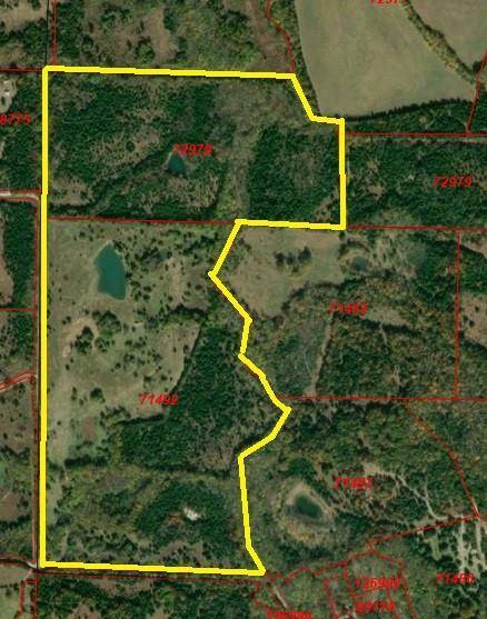 TBD County road 3045, Dodd City, TX 75438