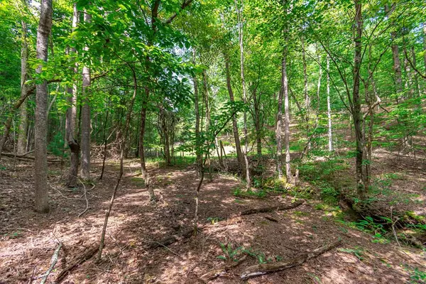 Morganton, GA 30560,Lot 22 Meadow Brook Trail