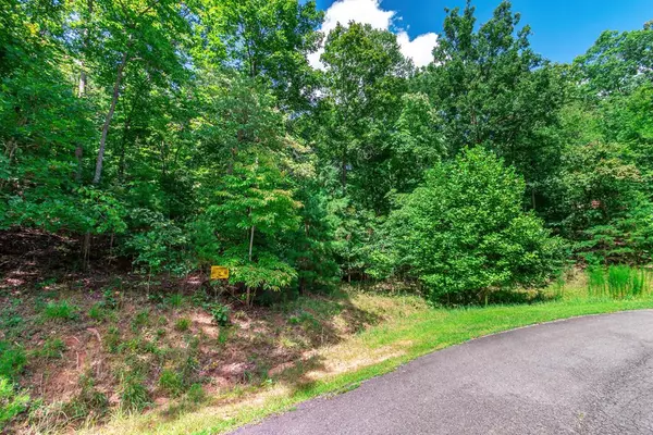 Morganton, GA 30560,Lot 22 Meadow Brook Trail