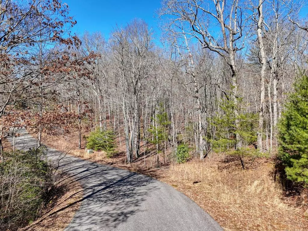 Morganton, GA 30560,Lot 5 Harbin Woods