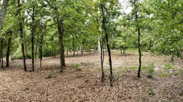 Holly Lake Ranch, TX 75765,334 Winding Knoll