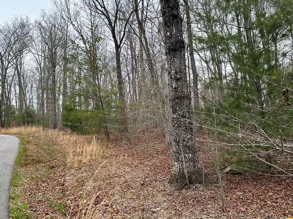 Morganton, GA 30560,Lot 5 Harbin Woods