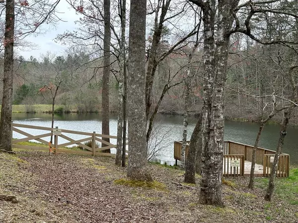 Morganton, GA 30560,Lot 5 Harbin Woods