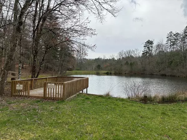 Morganton, GA 30560,Lot 5 Harbin Woods