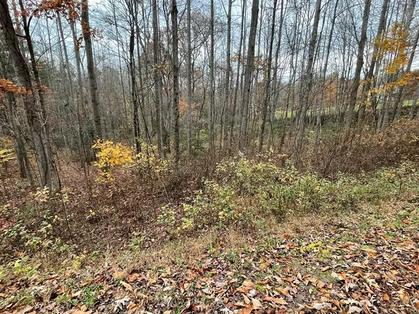 Blairsville, GA 30512,Lot 20 Hamilton Road