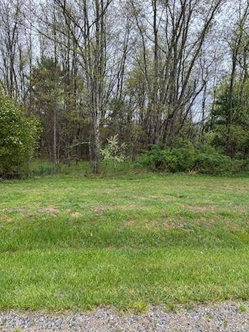 TBD Archery Ln., Elk Creek, VA 24326