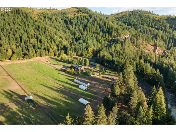 Trout Lake, WA 98650,45 CEDAR SPRING RD