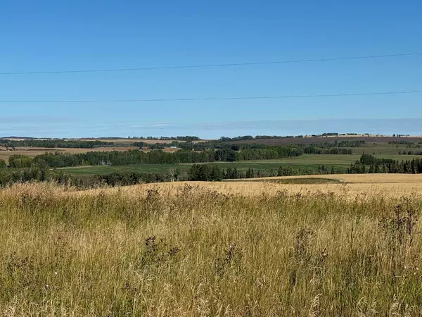 Rural Mountain View County, AB T0M0S0,29178 35 Range Road