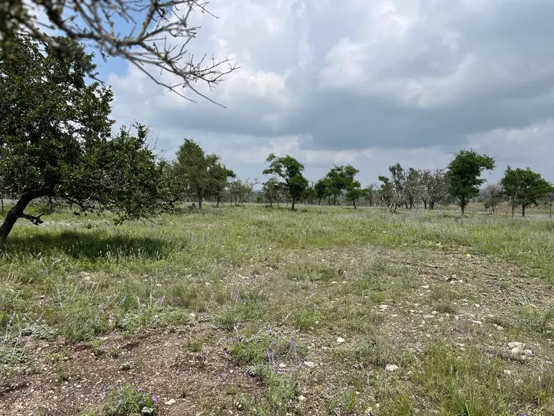 Lot 9 -- Sweet Wind Ln, Harper, TX 78631